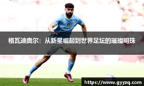 格瓦迪奥尔：从新星崛起到世界足坛的璀璨明珠