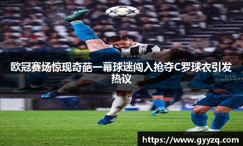 智博19