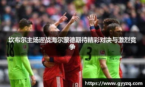 智博19
