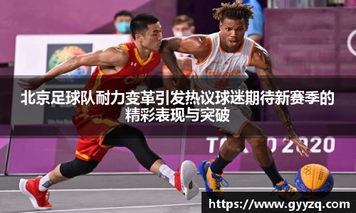智博19